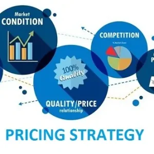 Pricing Strategies for Online Businesses