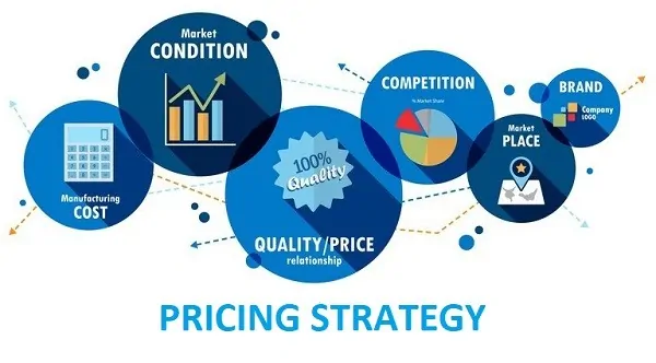 Pricing Strategies for Online Businesses