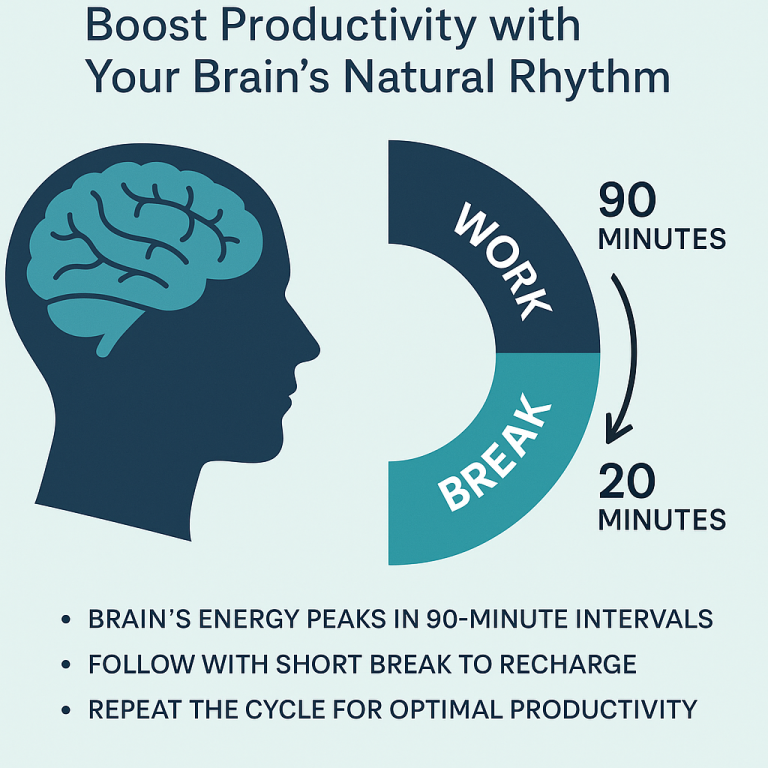 The 90-Minute Focus Cycle