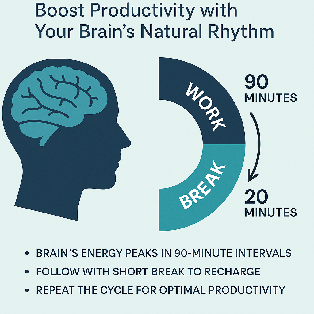 The 90-Minute Focus Cycle